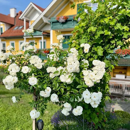 Hotel Panoramahotel Steirerland Kitzeck im Sausal