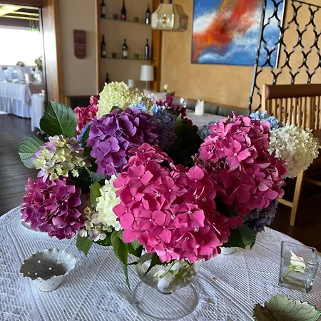 Panoramahotel Steirerland Китцекк-им-Заузаль