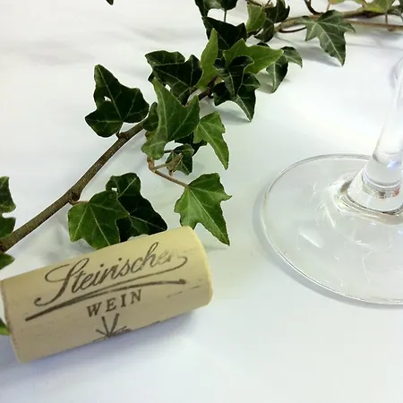 Hotel Panoramahotel Steirerland