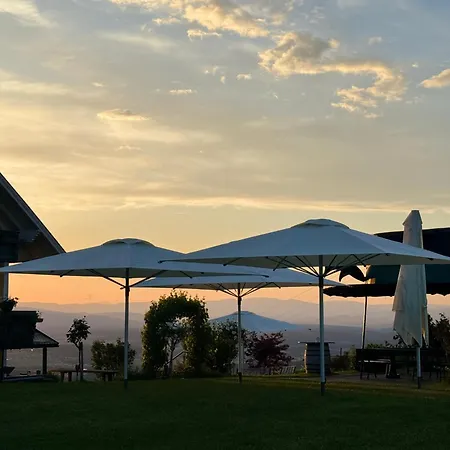 Panoramahotel Steirerland 4* Китцекк-им-Заузаль