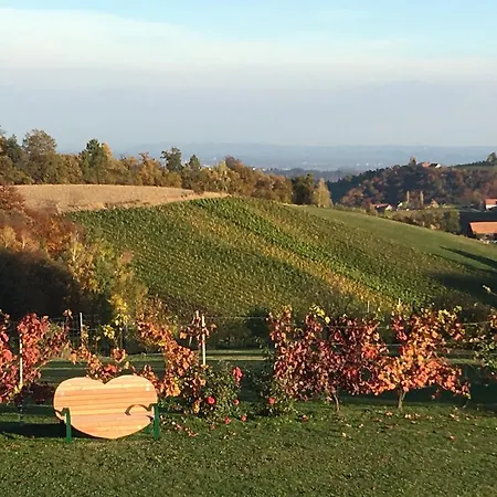 Hotel Panoramahotel Steirerland 4*