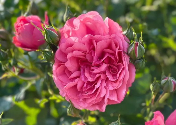 斯特瑞尔兰德全景酒店 绍萨尔地区基策克