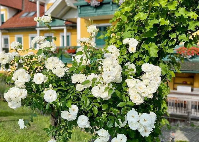 Hotel Panoramahotel Steirerland Kitzeck im Sausal