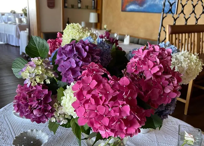 斯特瑞尔兰德全景酒店 绍萨尔地区基策克