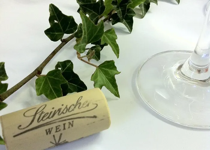 Hotel Panoramahotel Steirerland